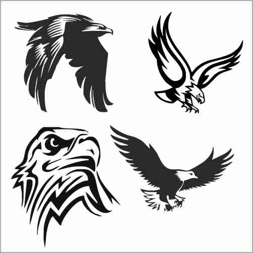 Birds Eagle 6 Cdr