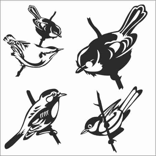 Birds Sketch 1 Cdr Eps