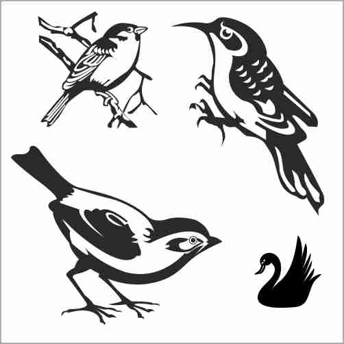 Birds Sketch 2 Cdr Eps