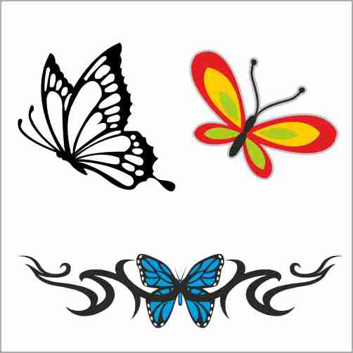 BUTTERFLY