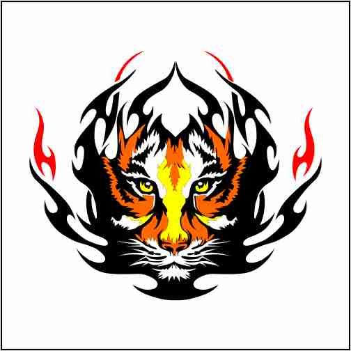 Tiger On Fire Cdr